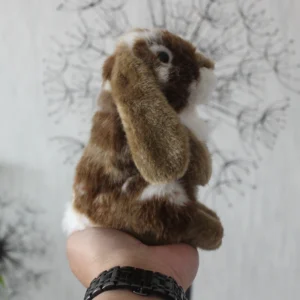 Brązowy króliczek Lop: uroczy prezent na każdą okazję