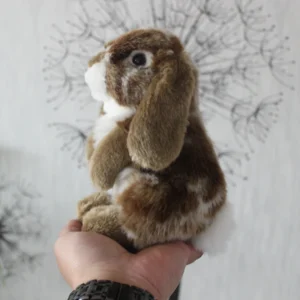 Brązowy króliczek Lop: uroczy prezent na każdą okazję