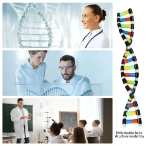 DNA w Zabawce: Edukacja przez Zabawę w Przedszkolu i Szkole