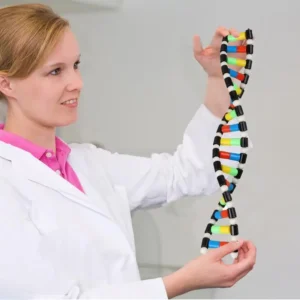 DNA w Zabawce: Edukacja przez Zabawę w Przedszkolu i Szkole