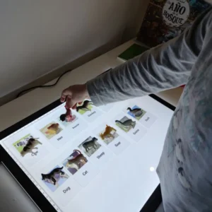 Zabawka Montessori - 24 fiszki zwierząt do nauki języka angielskiego