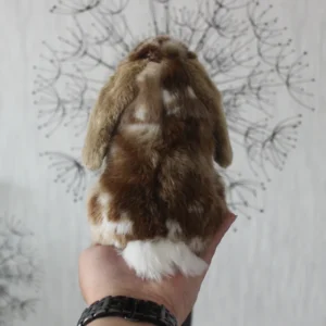 Brązowy króliczek Lop: uroczy prezent na każdą okazję